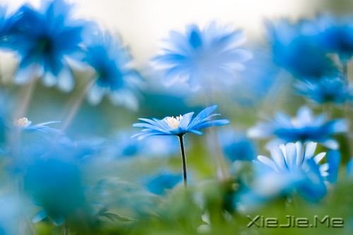 �������ֻҪ�������ڣ��ݳ���û����Ļ (2)