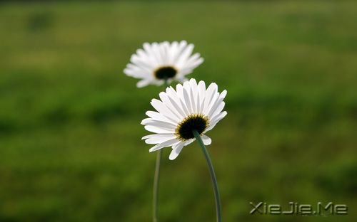 �簲������������������������������ (2)