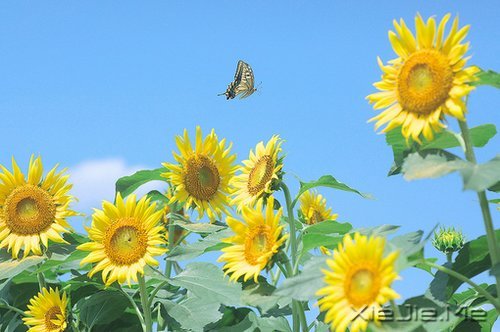 ��������һλ���˵ľž仰 (6)