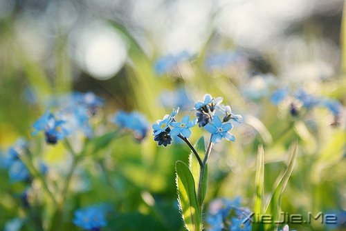 �����Լ������κ��ź� (6)
